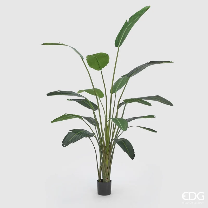 EDG Enzo De Gasperi Pianta Artificiale Strelitzia Chic Con Vaso h245