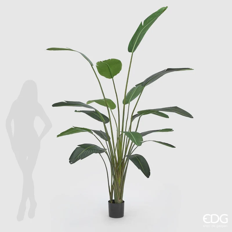 EDG Enzo De Gasperi Pianta Artificiale Strelitzia Chic Con Vaso h245