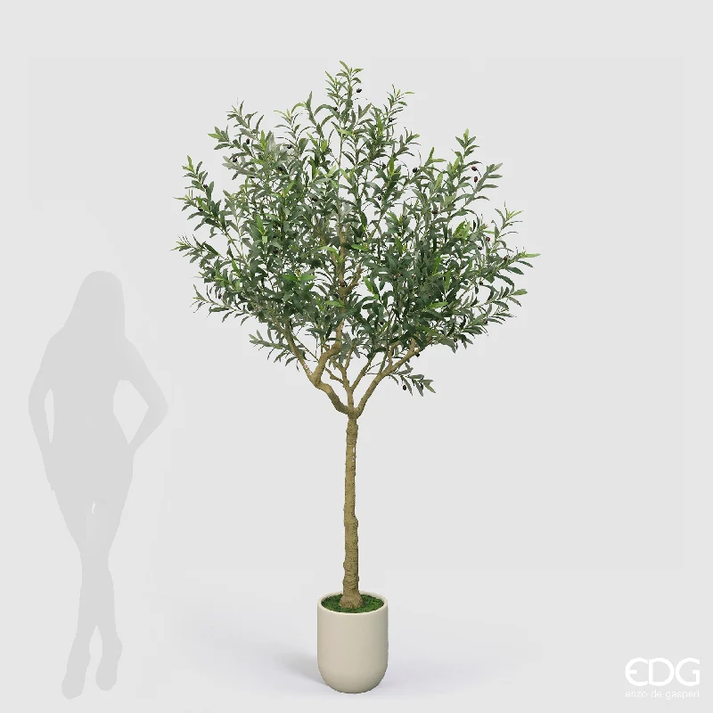 EDG Enzo De Gasperi Pianta Artificiale Olivo Vogue con Vaso H240 Cm