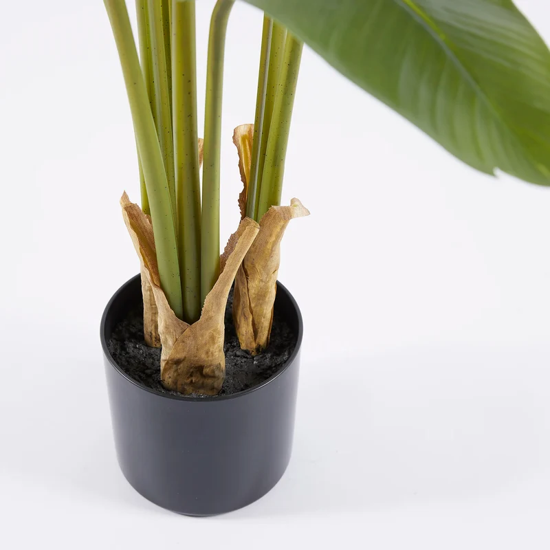 EDG Enzo De Gasperi Pianta Banano 9 foglie con Vaso H120 cm