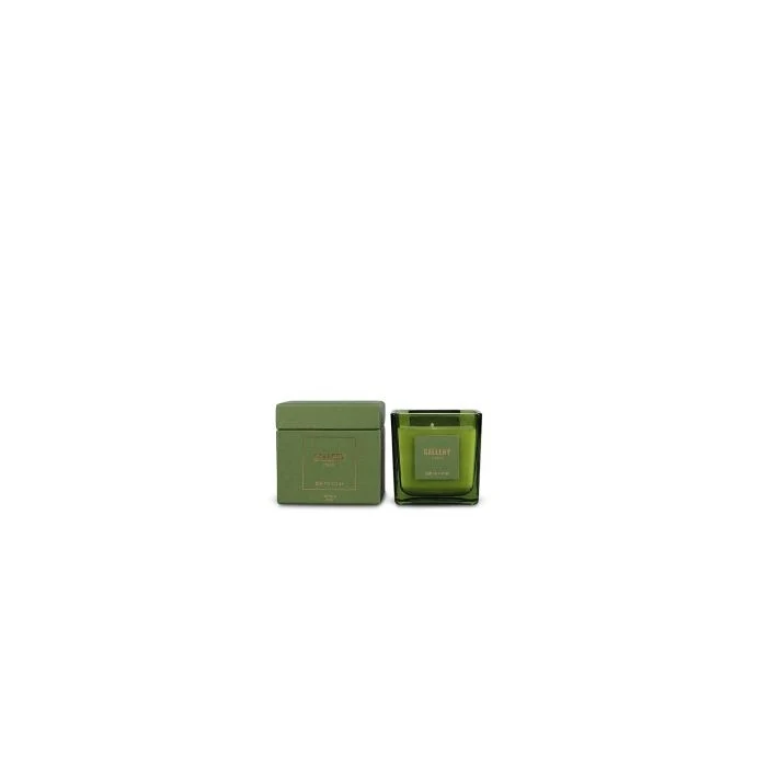 S|P Collection Duftkerze 220g Forest Gallery