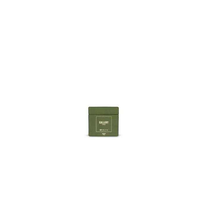 S|P Collection Duftkerze 220g Forest Gallery