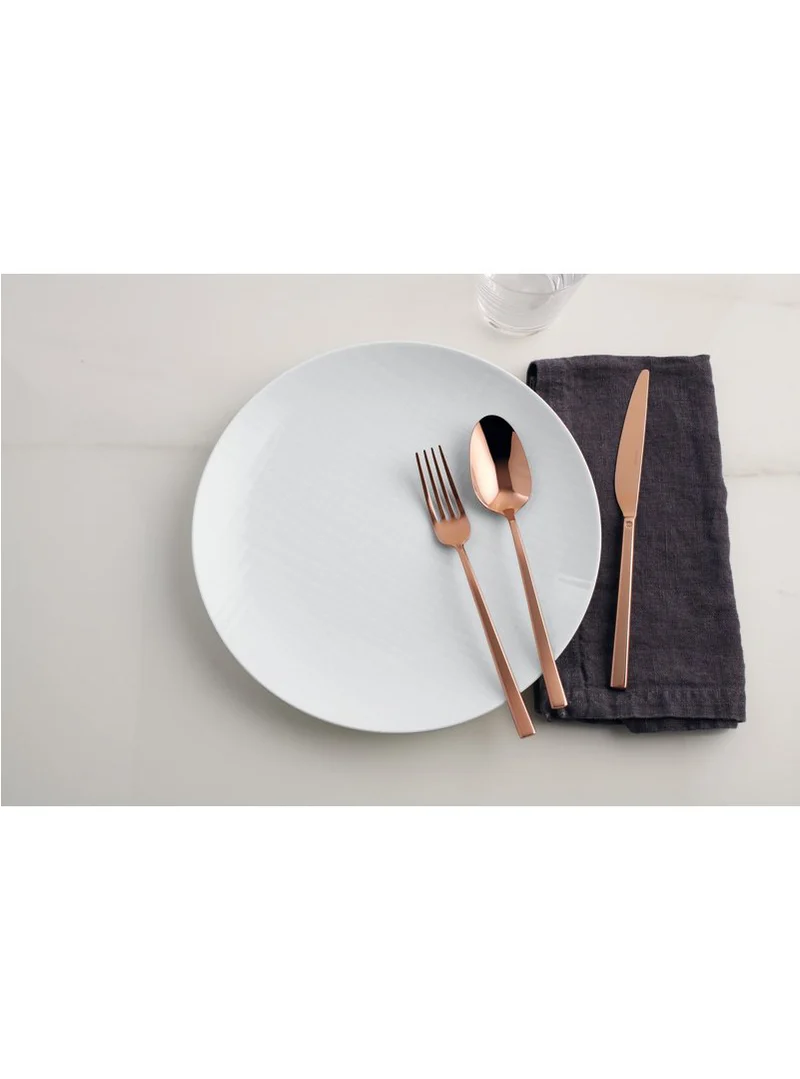 Sambonet Servizio Posate 24 pz Rock Vintage Copper