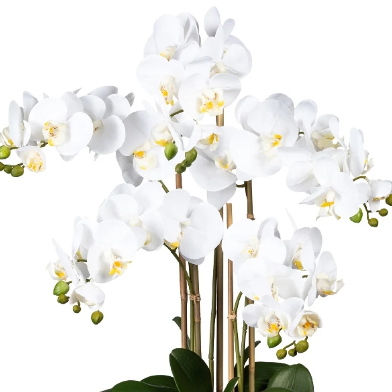 Gasper Orchidea Phalaenopsis Grande con vaso in pvc H75 cm 5 Fiori Bianco