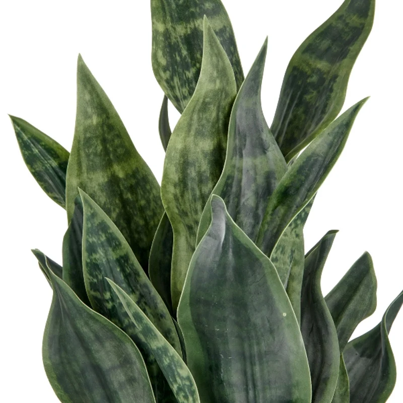 Gasper Pianta Artificiale Sanseveria Stripes H66 cm con Vaso