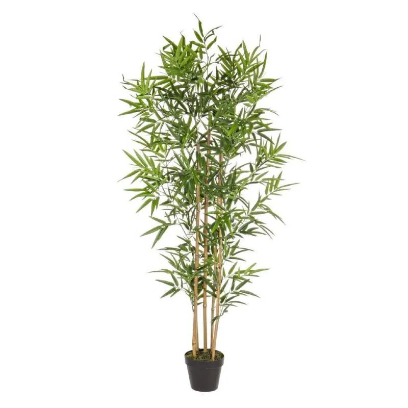 Andrea Bizzotto Pianta Artificiale Bamboo con Vaso H155 cm
