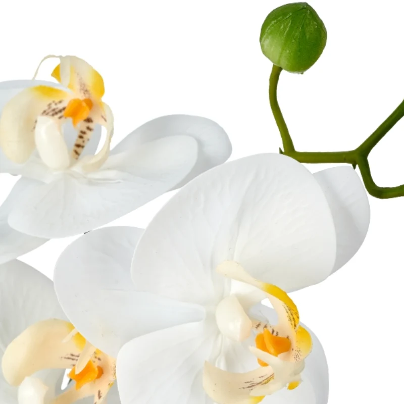 Gasper Pianta Artificiale Phalaenopsis H38 cm Real Touch con Vaso