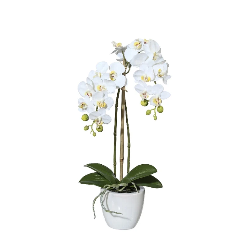 Gasper Pianta Artificiale Mini Phalaenopsis H42 cm con Vaso