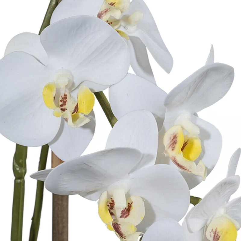 Gasper Pianta Artificiale Mini Phalaenopsis H42 cm con Vaso