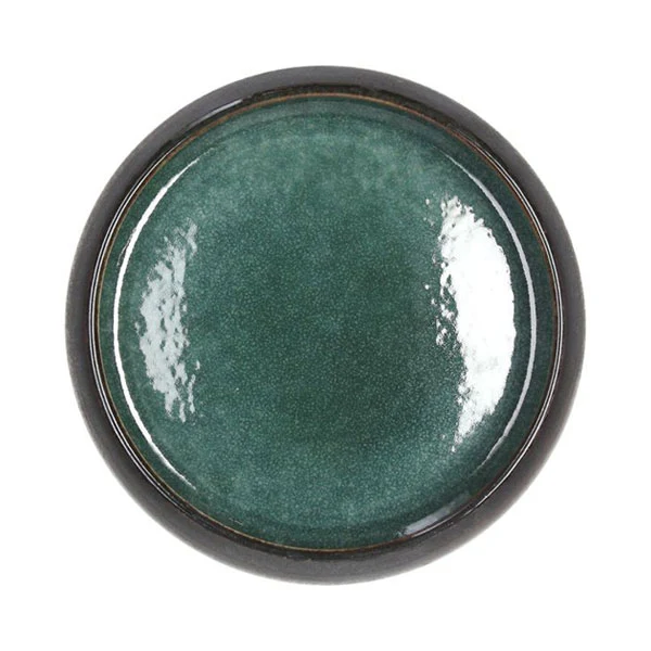 Tognana Professional Bowl in Porcellana D20 cm Bronze Teal