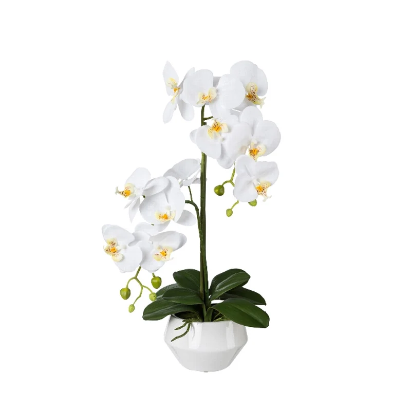 Gasper Pianta Artificiale Phalaenopsis H52 cm con Vaso Bianco