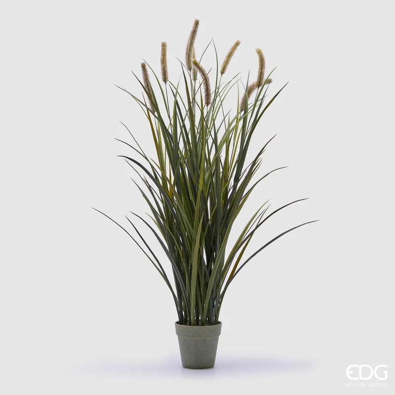 EDG Enzo De Gasperi Pianta Artificiale Festuca con Vaso H100 cm