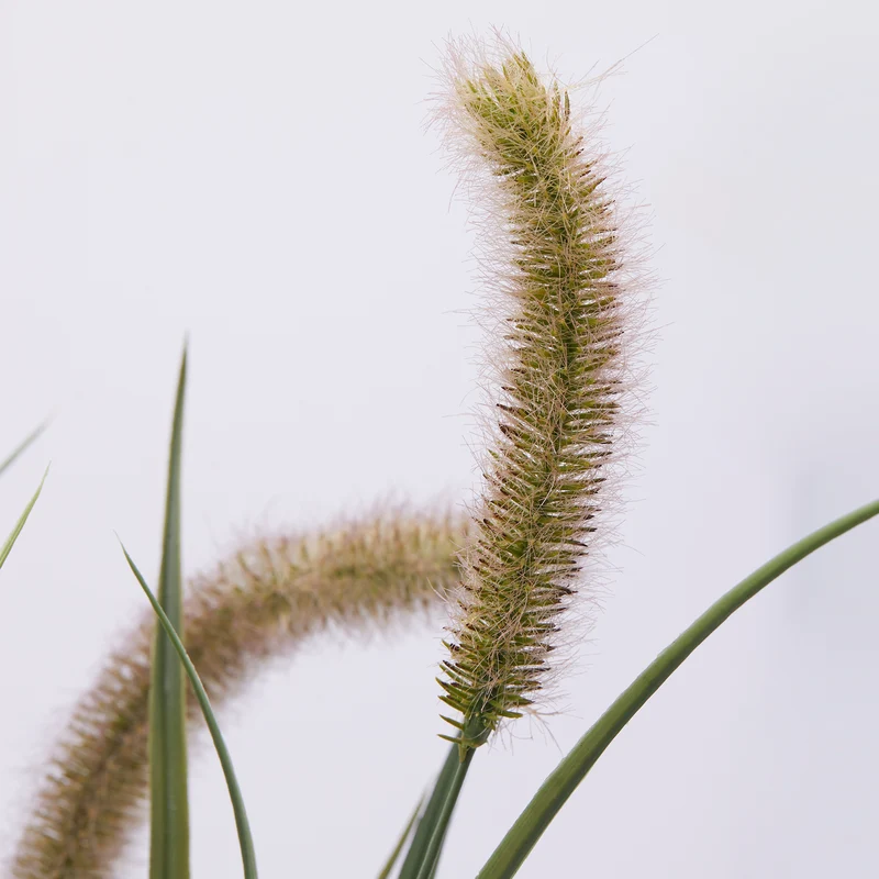 EDG Enzo De Gasperi Pianta Artificiale Festuca con Vaso H100 cm