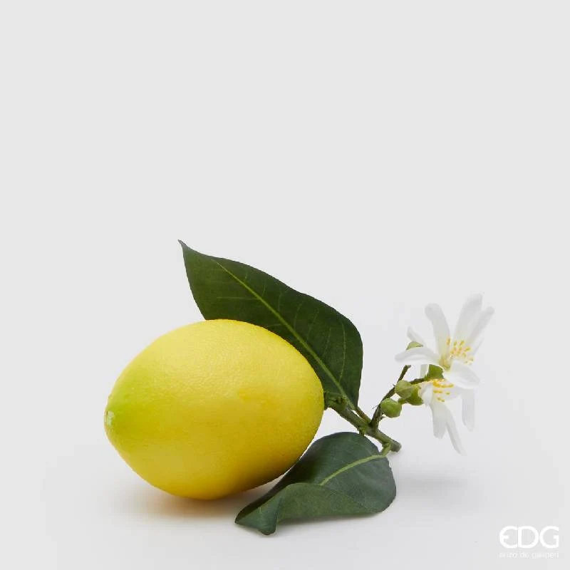 EDG Enzo De Gasperi Limone Duke con Fiori e Foglie 12 cm