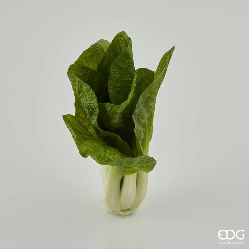 EDG Enzo De Gasperi Lattuga Cespo H20 cm
