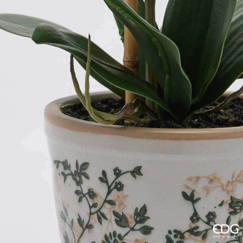 EDG Enzo De Gasperi Orchidea Phalaenopsis x2 con Bocciolo e Vaso H60 cm Bianca