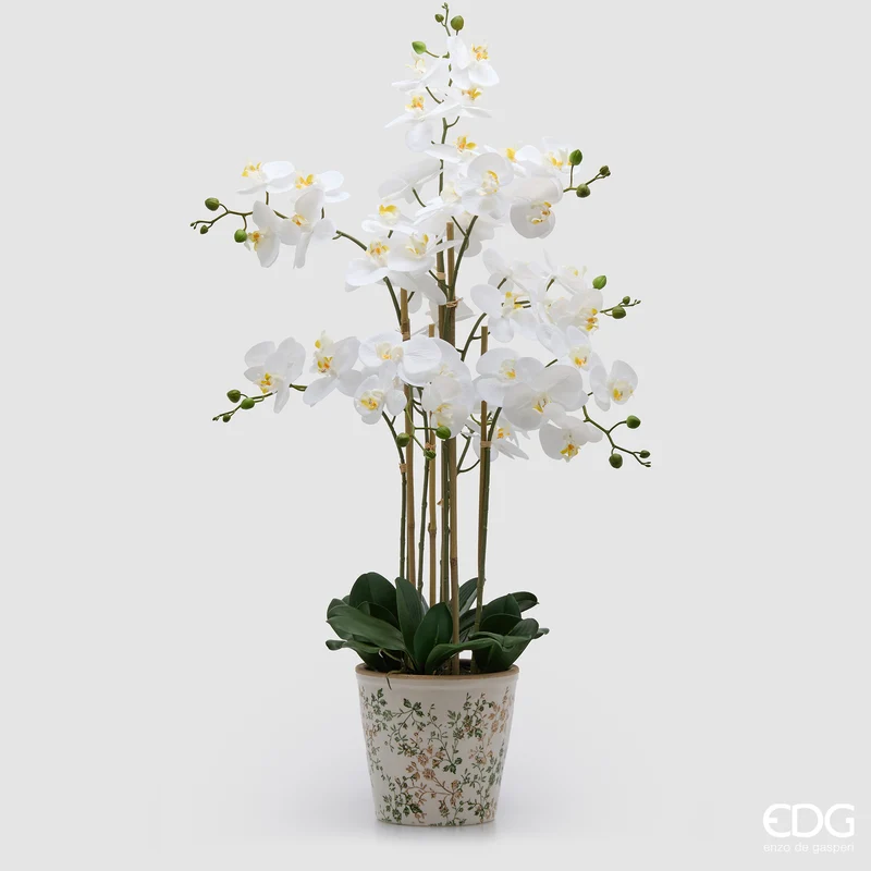 EDG Enzo De Gasperi Orchidea Phalaenopsis x8 con Bocciolo e Vaso H90 cm Bianca