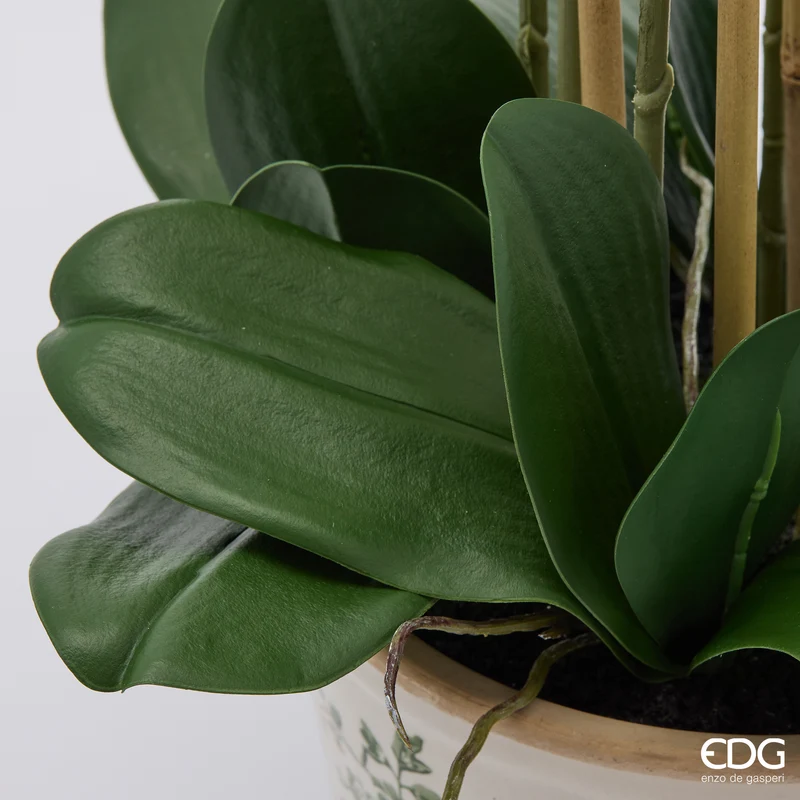 EDG Enzo De Gasperi Orchidea Phalaenopsis x8 con Bocciolo e Vaso H90 cm Bianca