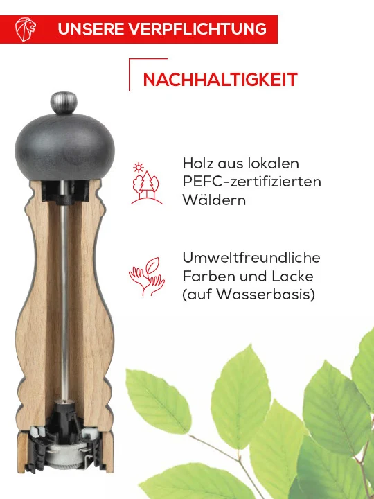 Salzmühle 30cm schoko Paris