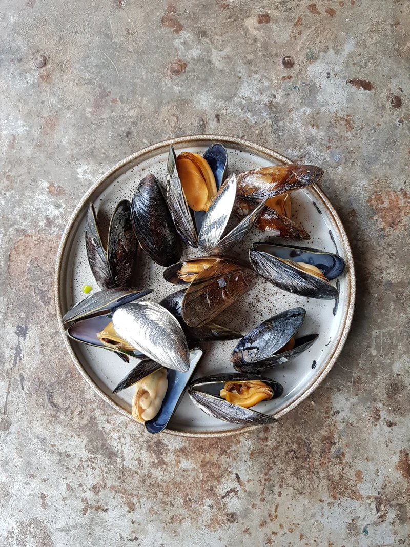 Anovi Zeeland Muschelbesteck 2 Stück.
