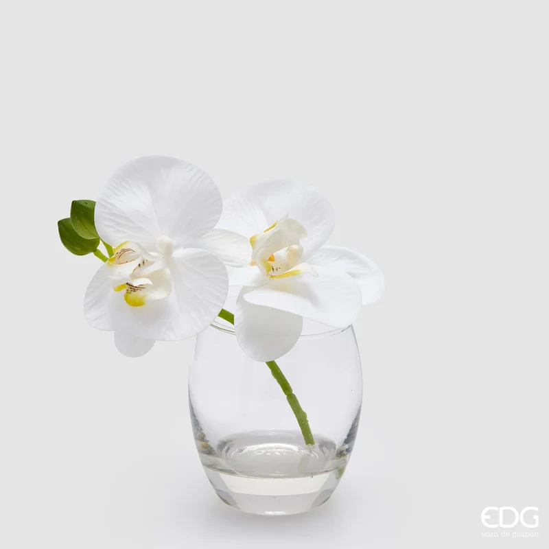 EDG Enzo De Gasperi Orchidea Phalaenopsis con Bocciolo e Vaso H15 cm Bianco