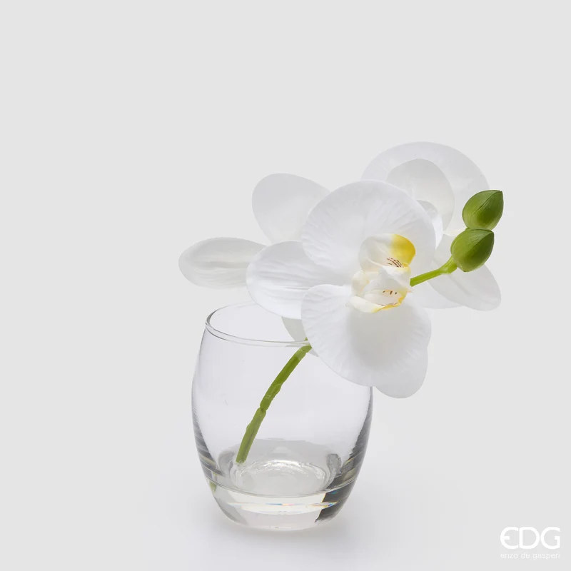 EDG Enzo De Gasperi Orchidea Phalaenopsis con Bocciolo e Vaso H15 cm Bianco