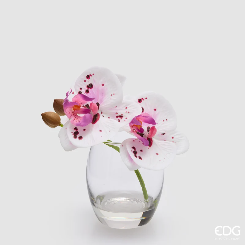 EDG Enzo De Gasperi Orchidea Phalaenopsis con Bocciolo e Vaso H15 cm Sfumato Rosa