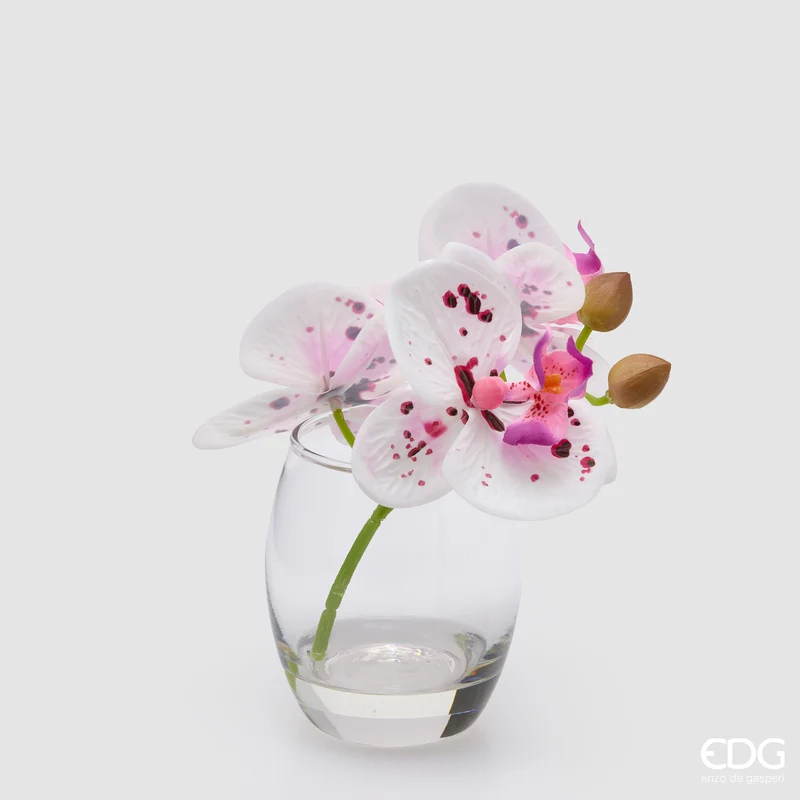 EDG Enzo De Gasperi Orchidea Phalaenopsis con Bocciolo e Vaso H15 cm Sfumato Rosa
