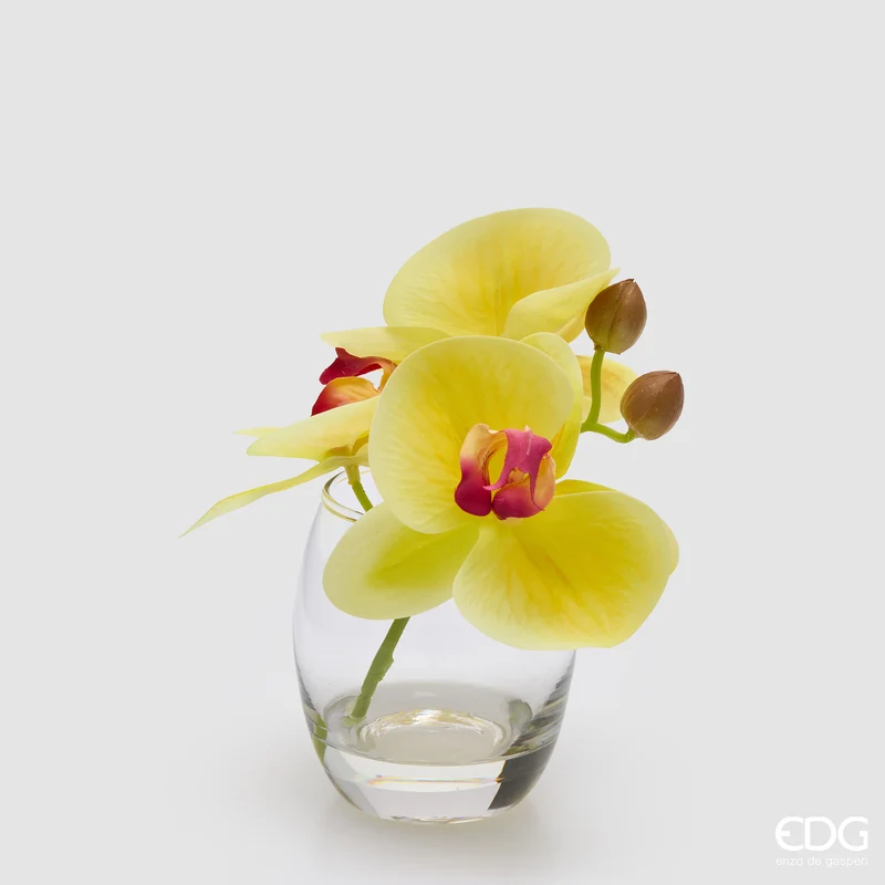 EDG Enzo De Gasperi Orchidea Phalaenopsis con Bocciolo e Vaso H15 cm Giallo