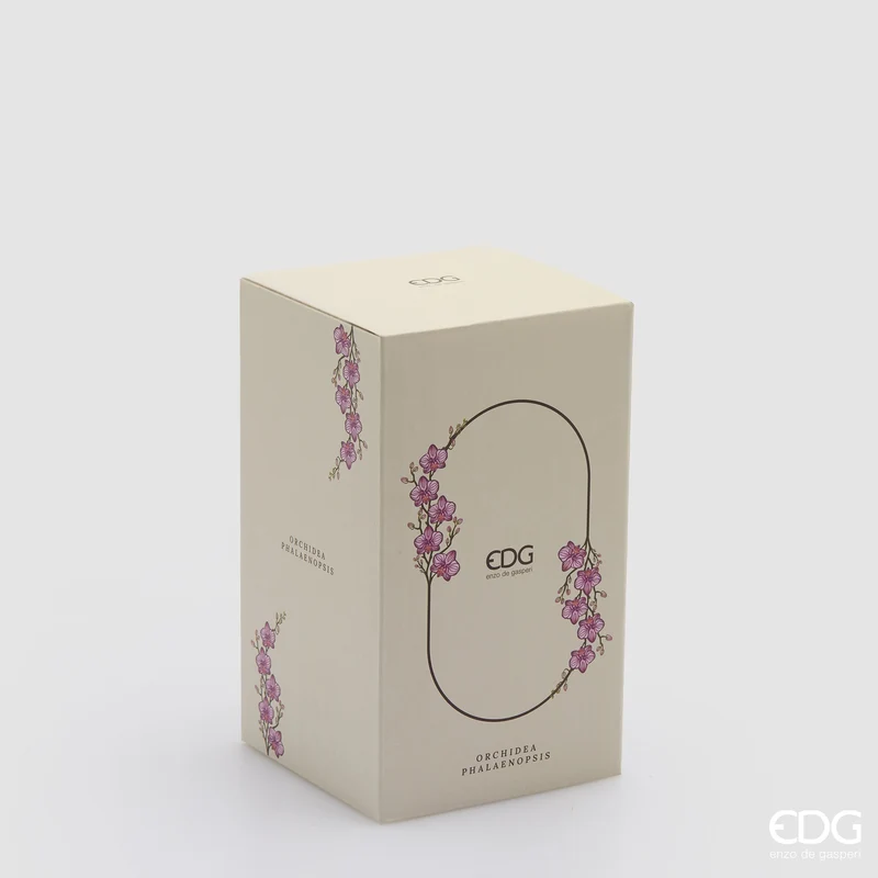EDG Enzo De Gasperi Orchidea Phalaenopsis con Bocciolo e Vaso H15 cm Rosa Scuro