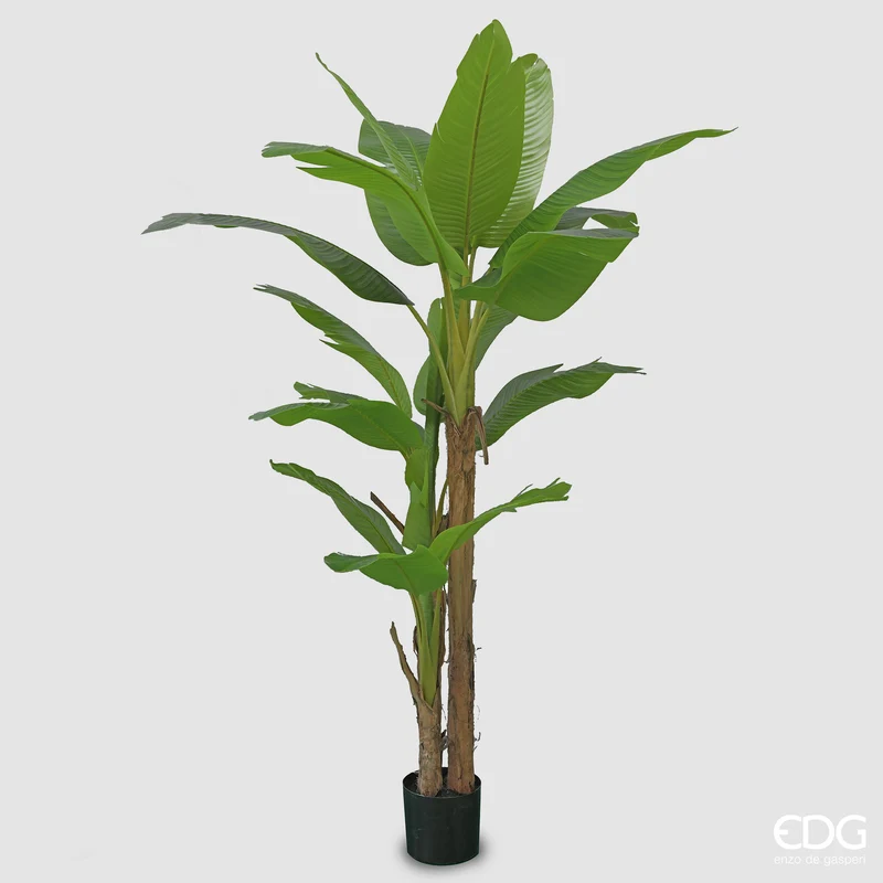 EDG Enzo De Gasperi Pianta Artificiale Banano con Vaso H280 cm