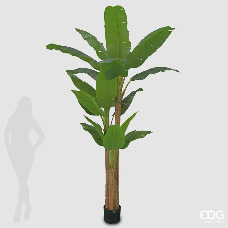 EDG Enzo De Gasperi Pianta Artificiale Banano con Vaso H280 cm