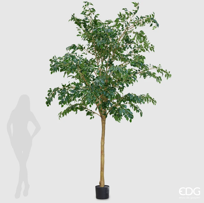 EDG Enzo De Gasperi Pianta Artificiale Ficus Beniamino H305 cm