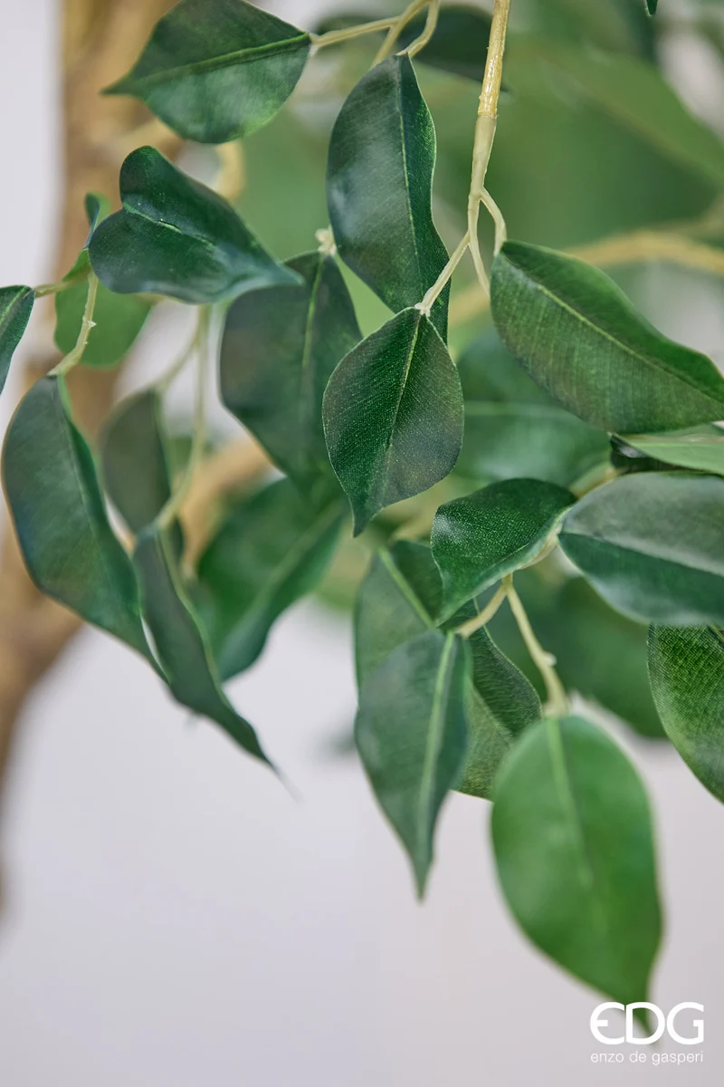 EDG Enzo De Gasperi Pianta Artificiale Ficus Beniamino H280 cm