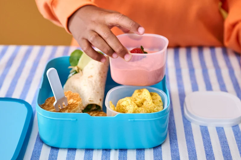Brotdose Fairy garden groß mit Bento-Einsatz und Gabel Campus