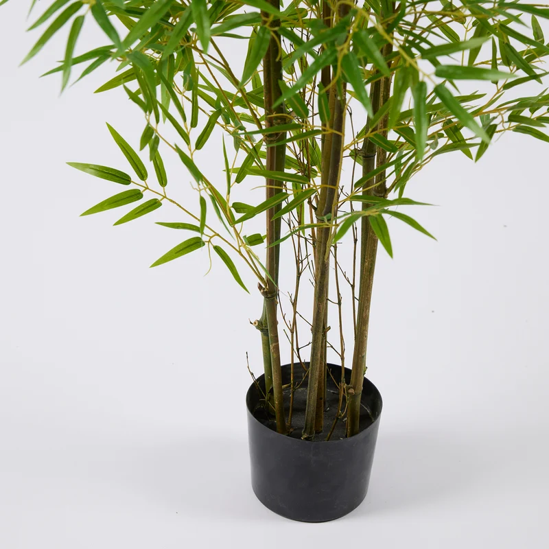 EDG Enzo De Gasperi Pianta Bamboo con vaso H 150 cm Verde