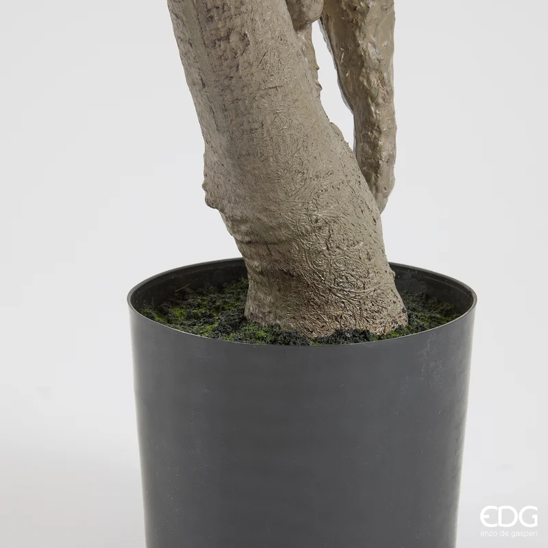 EDG Enzo De Gasperi Pianta Artificiale di Magnolia con Foglie H180 cm