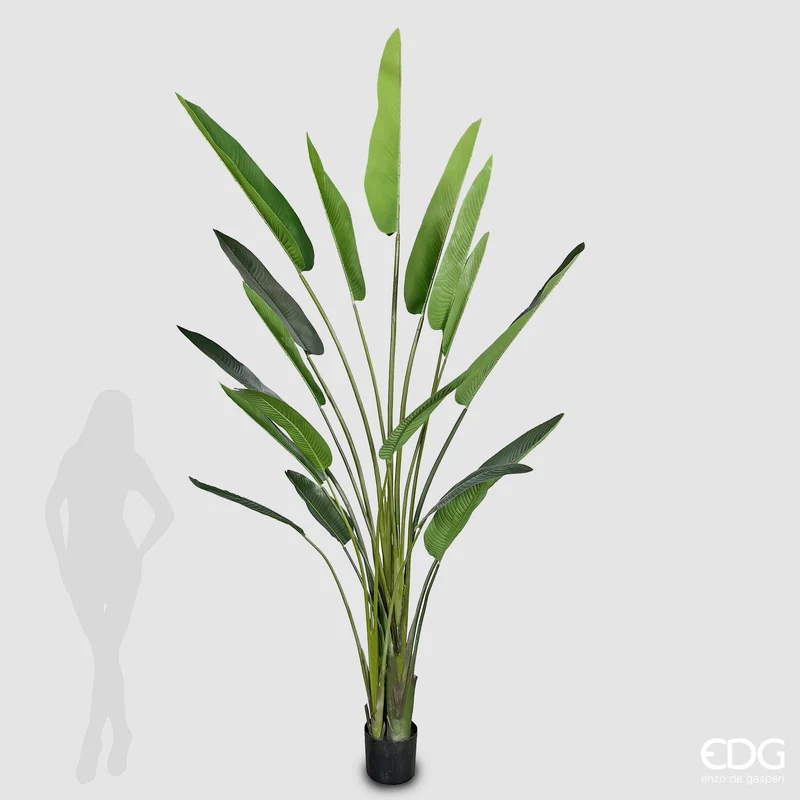 EDG Enzo De Gasperi Pianta Artificiale Strelitzia con Vaso H310 cm