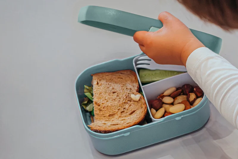 Campus Brotdose Tropical Ocean mit Bento-Einsatz und Gabel