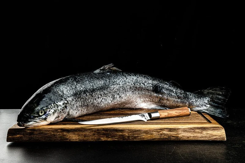 Fischfiletiermesser Olive + Gratis Etui