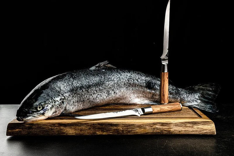 Fischfiletiermesser Olive + Gratis Etui