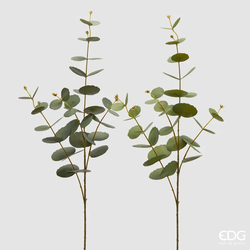 EDG Enzo De Gasperi Set 2 Rami di Eucalipto Olis H89 cm Verde