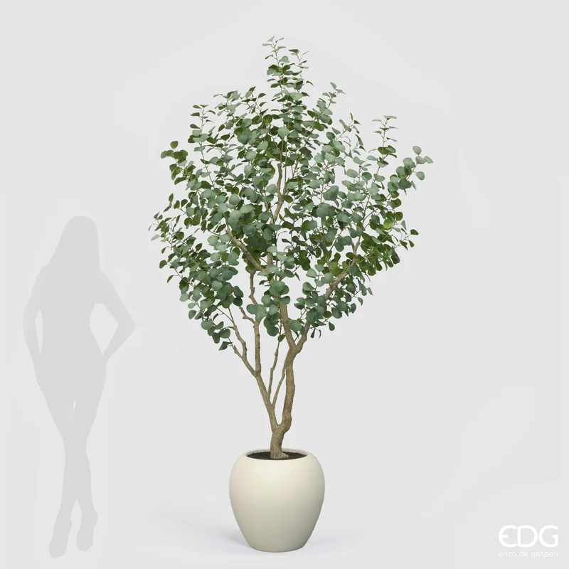 EDG Enzo De Gasperi Pianta Artificiale Eucalipto Vouge con Vaso H244 cm