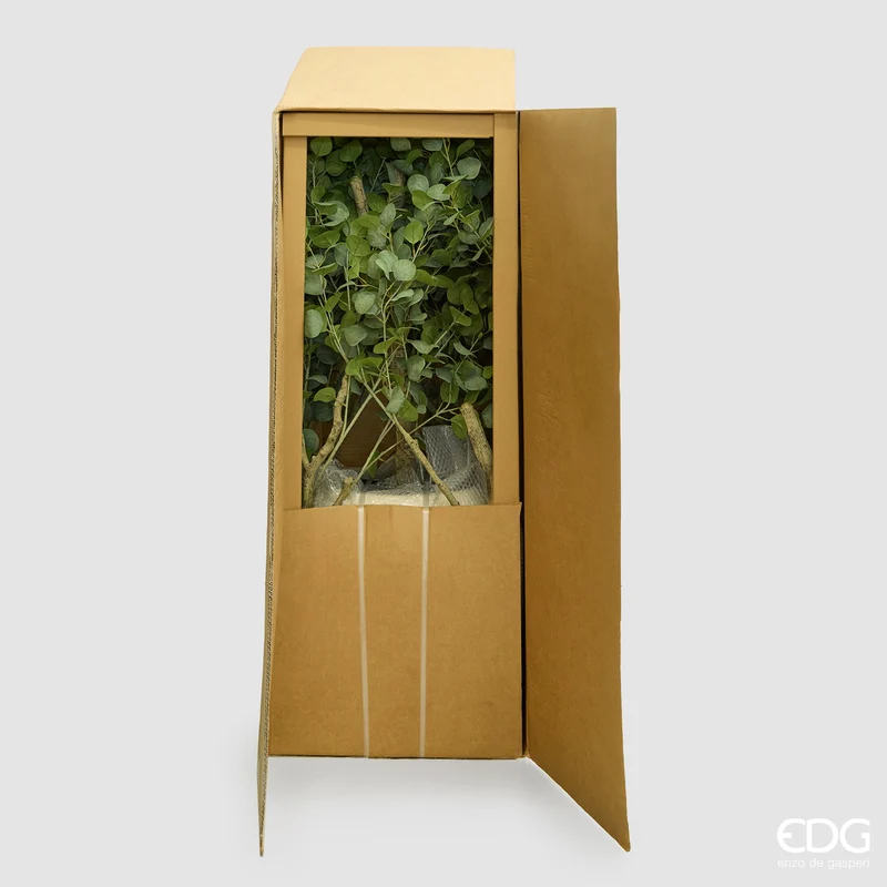 EDG Enzo De Gasperi Pianta Artificiale Eucalipto Vouge con Vaso H244 cm