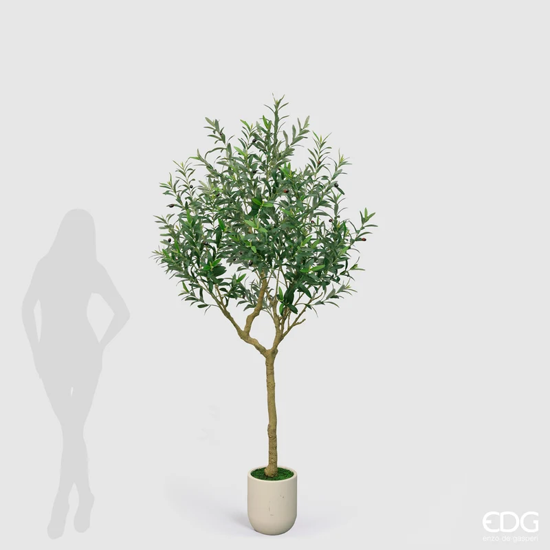 EDG Enzo De Gasperi Pianta Artificiale Olivo Vouge con Vaso H210 cm