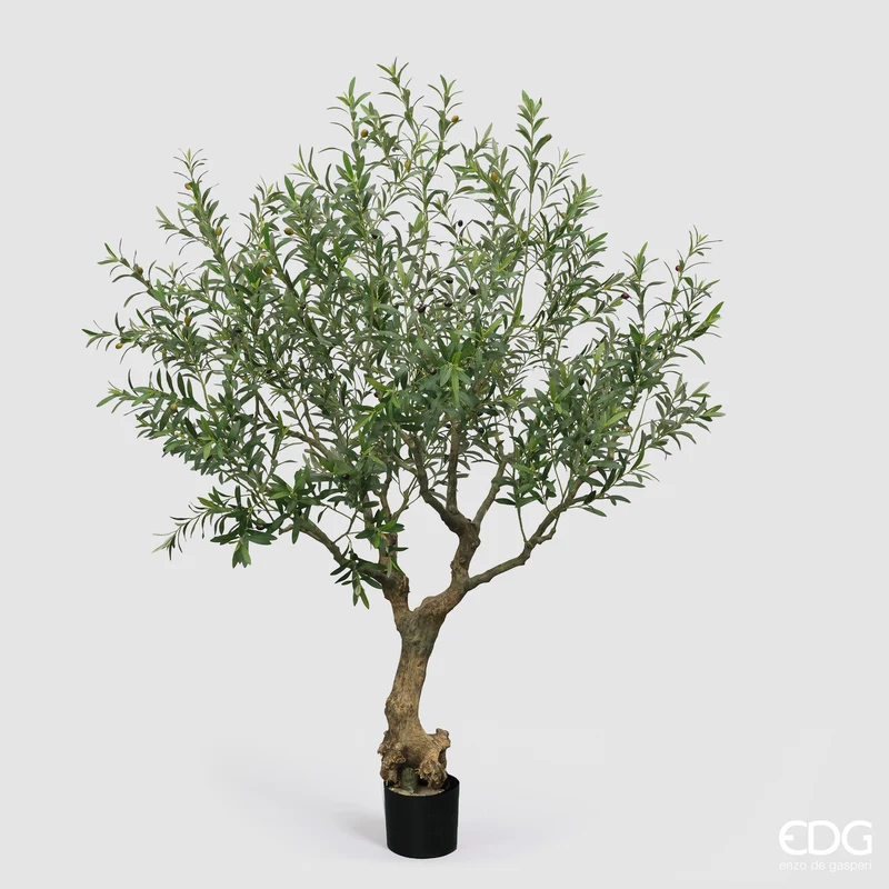 EDG Enzo De Gasperi Pianta Artificiale Olivo Vouge con Vaso H230 cm