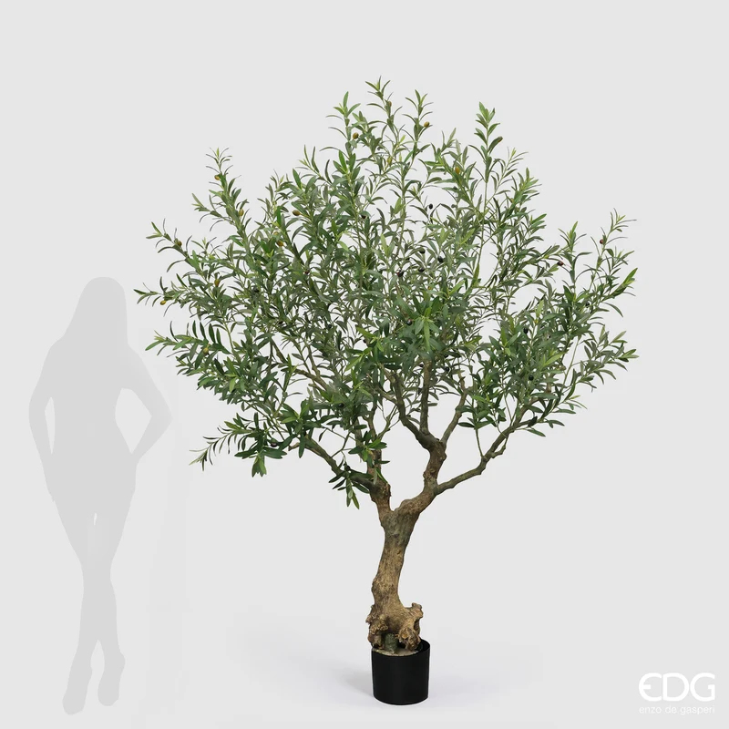 EDG Enzo De Gasperi Pianta Artificiale Olivo Vouge con Vaso H230 cm