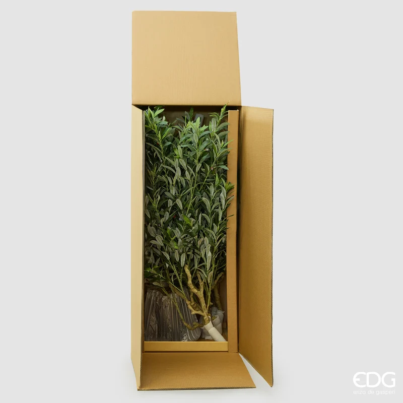 EDG Enzo De Gasperi Pianta Artificiale Olivo Vouge con Vaso H230 cm
