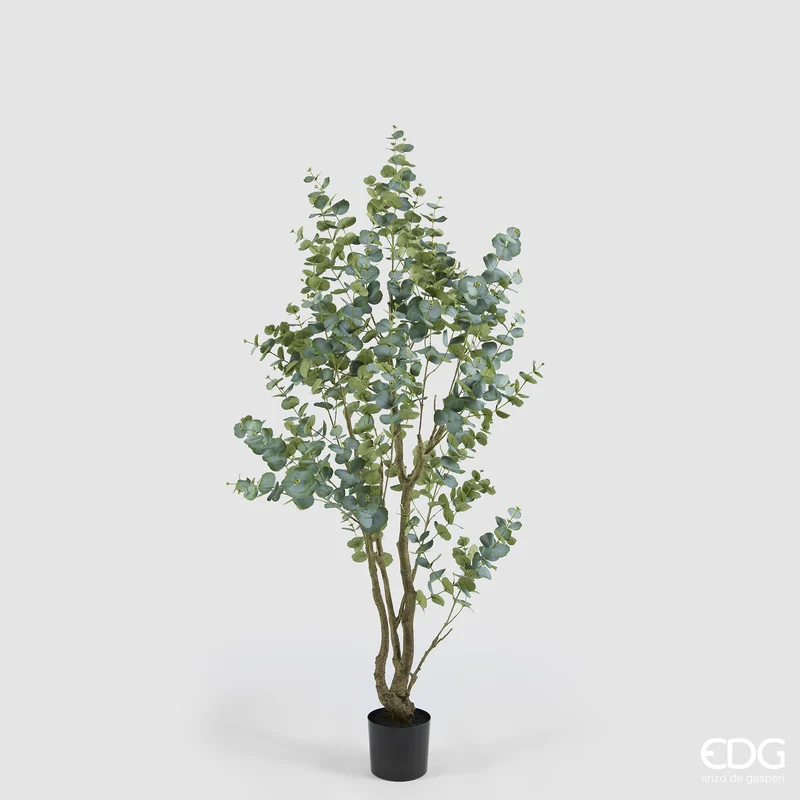 EDG Enzo De Gasperi Pianta Artificiale Eucalipto Vouge con Vaso H210 cm