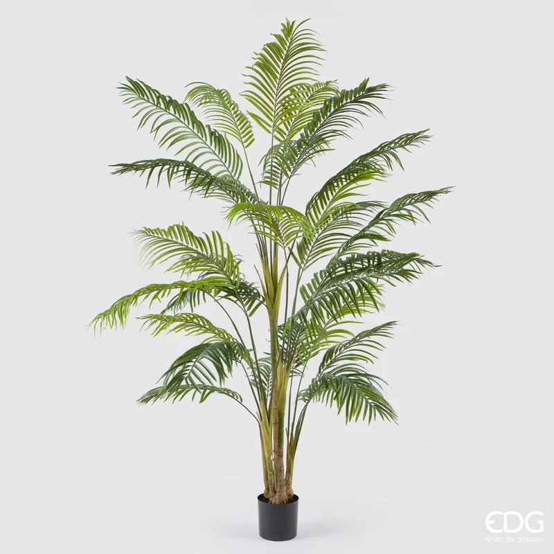 EDG Enzo De Gasperi Pianta Artificiale Palma Areca Vogue con Vaso H250 cm